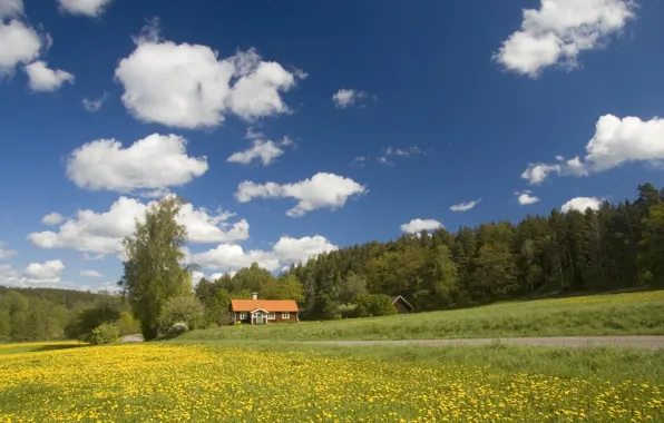 Wallpaper road, field, forest, house