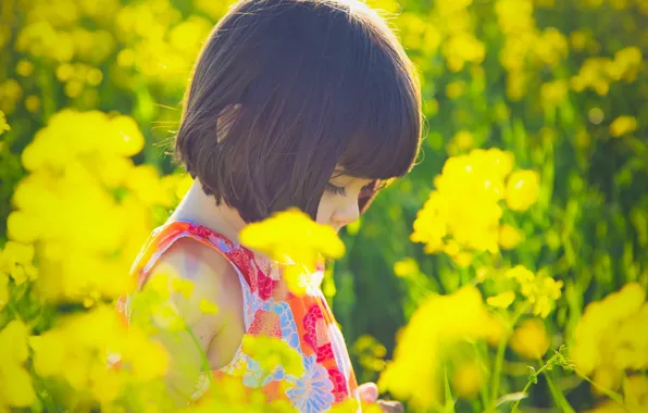 The sun, flowers, yellow, nature, children, background, situation, Wallpaper