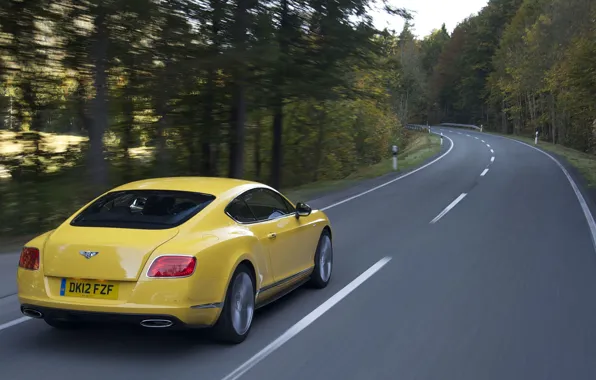 Road, coupe, Bentley