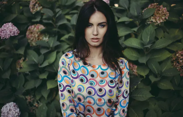 Picture look, girl, face, model, portrait, colors, brunette, shirt