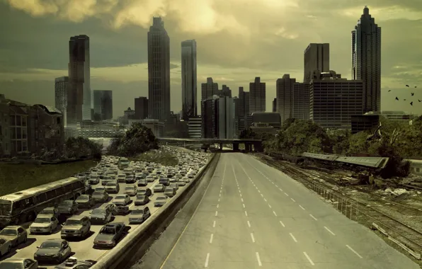 Road, void, the city, the film, street, frame, devastation, USA