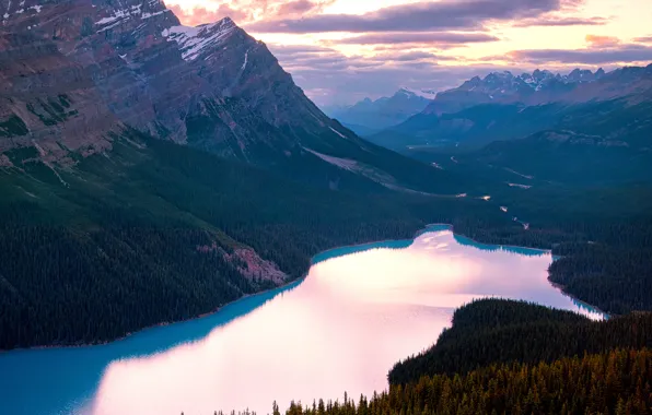 Picture summer, lake, Canada, Banff national Park, Peyto, By Panorama Paul, Canadian Rockies, August