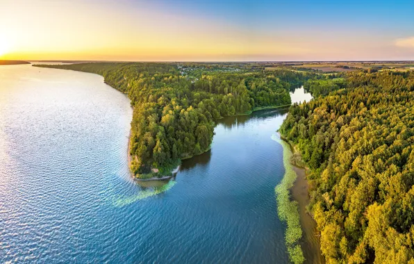 Forest, lake, panorama, Lithuania, Lithuania, Kaunas Reservoir, Kaunas County, Mergakalnis