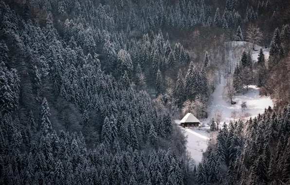 Picture winter, forest, snow, Nature, house