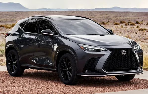 Picture desert, Lexus, power, Suite, Sport, SUV, exterior, 2022