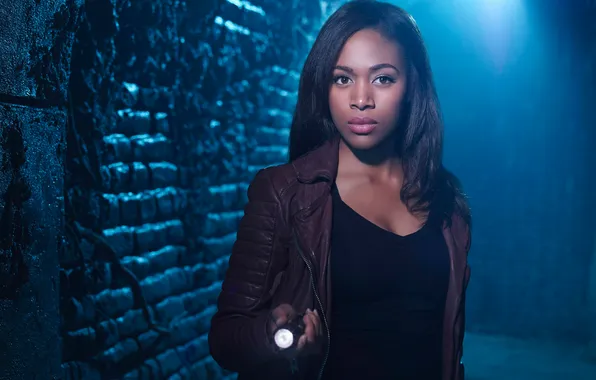 Picture the series, promo, Sleepy Hollow, Nicole Beharie, Abbie Mills, Sleepy Hollow