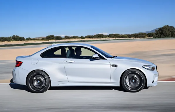 Picture movement, coupe, track, BMW, profile, 2018, F87, M2