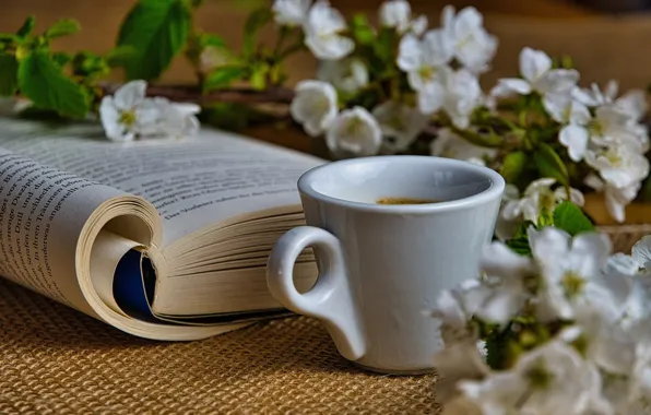 Mood, coffee, branch, Cup, book