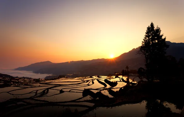 Sunrise, rice fields, Duoyishu