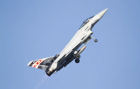 Picture fighter, multipurpose, Eurofighter Typhoon