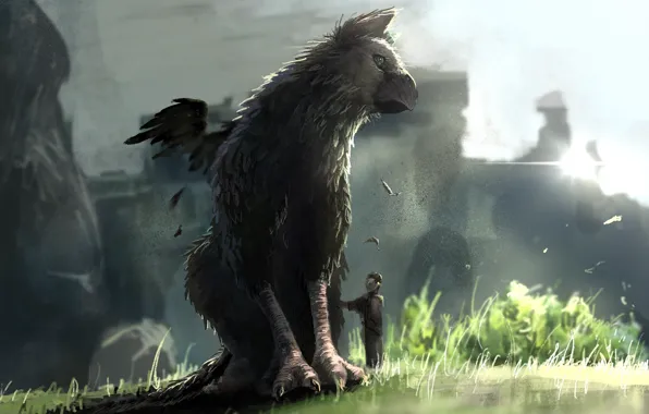 Bird, being, boy, fantasy