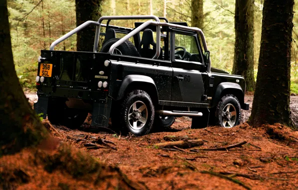 Trees, 2008, Land Rover, Defender, SVX, 60th Anniversary Edition