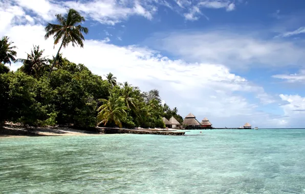 Beach, the sky, the ocean, island, the Maldives