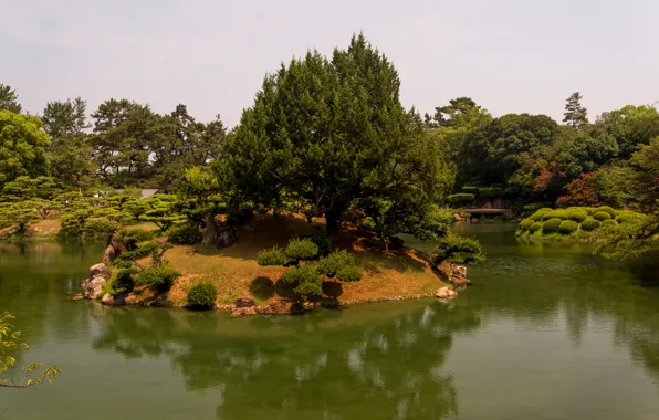 Trees, landscape, nature, pond, Park, photo, Japan, Takamatsu