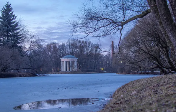 Ice, winter, the sky, snow, trees, branches, the city, lake