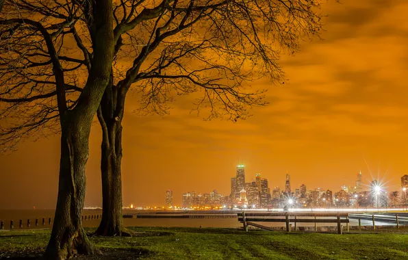 The sky, clouds, the city, lights, tree, home, the evening, bench
