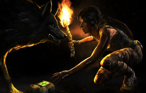 Picture look, girl, fire, animal, the game, wolf, predator, art
