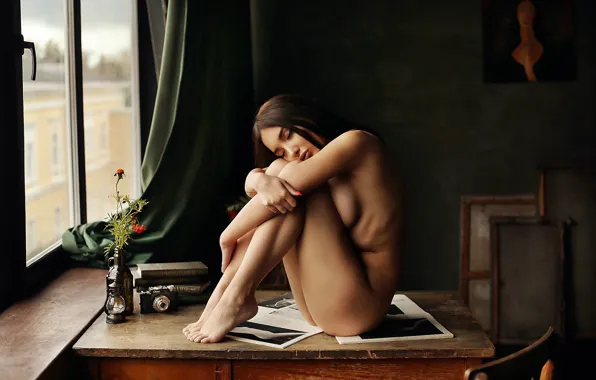 Girl, flowers, pose, books, window, the camera, magazines, on the table