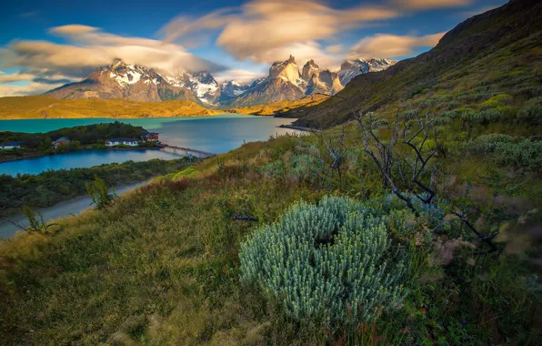 Picture mountains, lake, Argentina, Patagonia