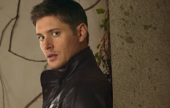 Wall, jacket, actor, male, the series, Supernatural, Jensen Ackles, Supernatural