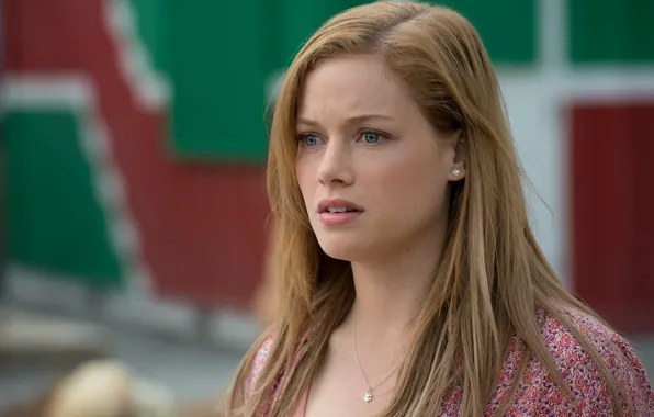 Picture Jane Plate, Monster Trucks, Monster trucks