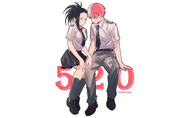 My Hero Academia, Boku No Hero Academy, Todoroki Shoto, My Hero Academy, Airoso Momo