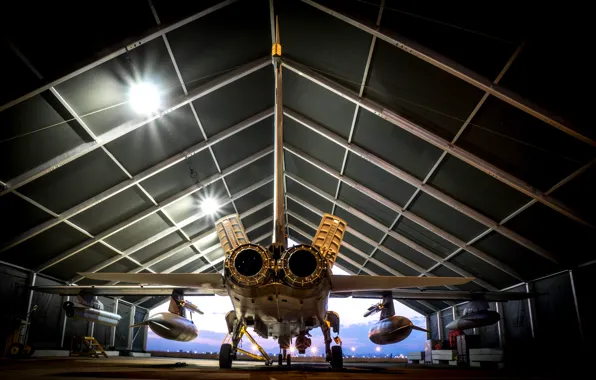 Weapons, hangar, the plane