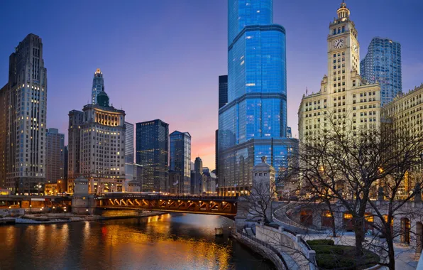 Night, lights, lights, Park, Chicago, USA, Il, night