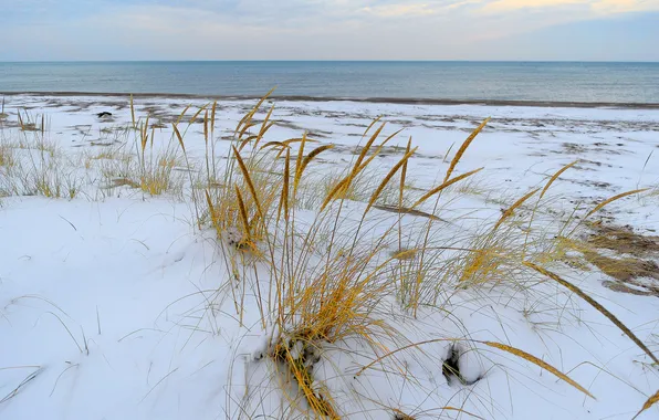 Picture sea, the sky, grass, clouds, snow, shore