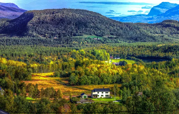 Picture forest, the sky, trees, mountains, nature, house, Norway