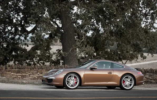 Road, machine, auto, 911, Porsche, Porsche, tree., Carrera S