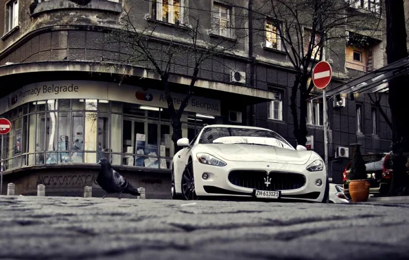 Picture Maserati, white, sports, white, GranTurismo, Maserati