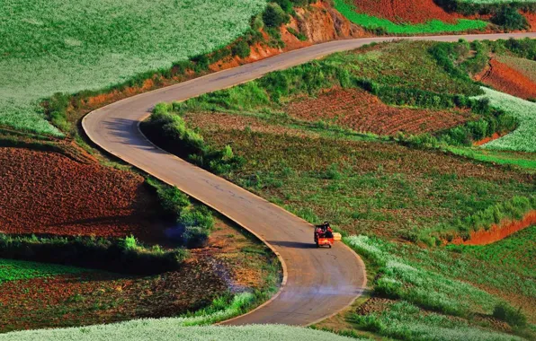 Picture road, grass, China, car, the bushes, Yunnan