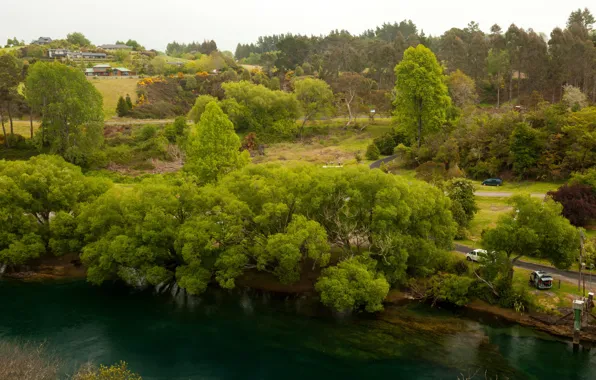 Picture trees, river, shore, road, home, New Zealand, Waikato River, Waikato