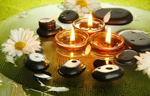 Picture candles, Spa, Spa, candles, Spa stones, Spa stones, chrysanthemum flowers, the flowers of chrysanthemum