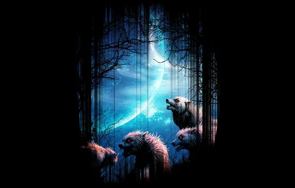 Forest, night, background, the moon, wolves