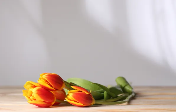 Flowers, table, stems, tulips