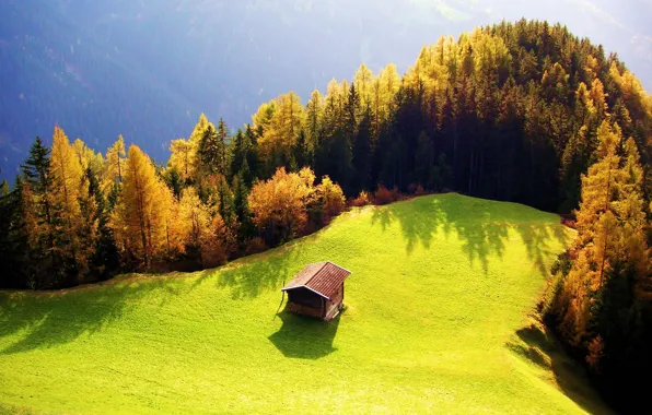 Picture autumn, forest, the sun, glade, house, hill