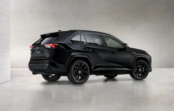 Picture Toyota, Hybrid, Black Edition, RAV4