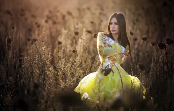 Picture summer, girl, nature, yellow dress