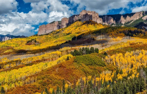 Picture forest, autumn, mountains, clouds, autumn colors, fall, oaks, fall colors