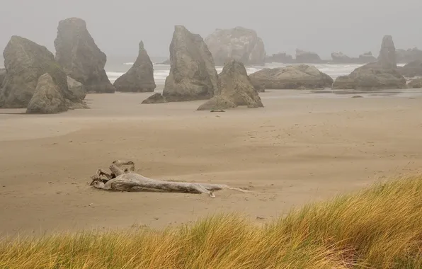 Picture sand, sea, grass, fog, stones, overcast, rocks, log