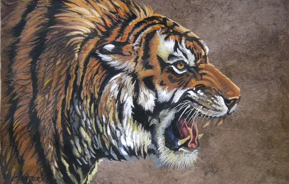 Tiger, work, figure, teeth, art, mouth, fangs, painting
