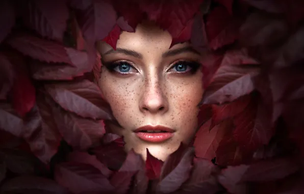 Picture autumn, leaves, girl, Renat Fotov, Vika Antonova