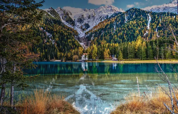 Picture autumn, forest, grass, snow, trees, mountains, branches, lake