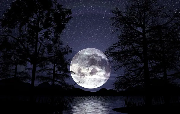Night, the moon