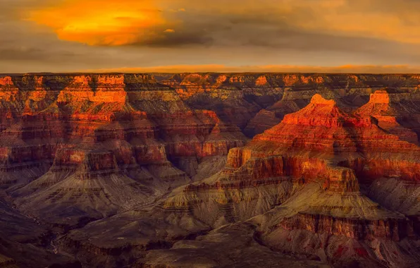 Picture panorama, AZ, USA, National Park Grand Canyon