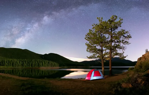 Forest, the sky, stars, trees, mountains, night, lake, reflection