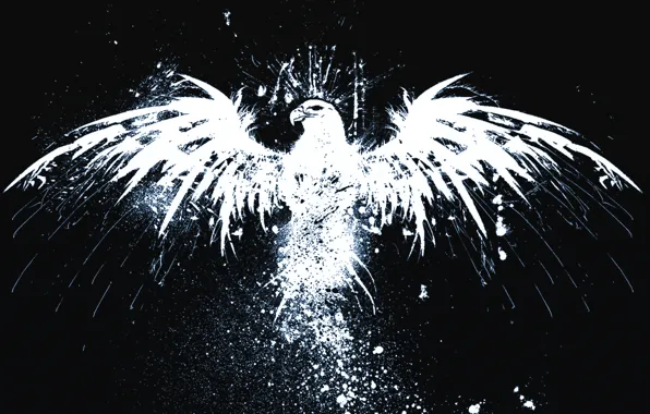 Black, minimalism, Eagle