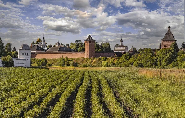 Greens, field, the sky, clouds, trees, castle, architecture, the ranks